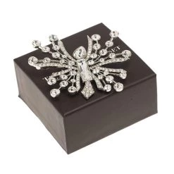 Oscar De La Renta Abstract Crystal Silver Tone Brooch For Women -Oscar de la Renta Sales Shop 9c1cbd662b603aa098f19d8ad22284ba1488796676.9833